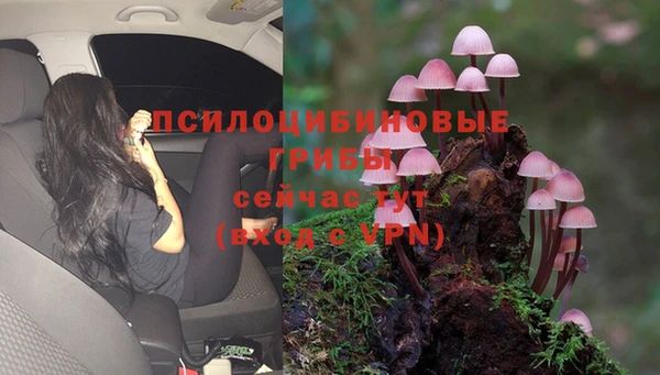кокаин премиум Вяземский