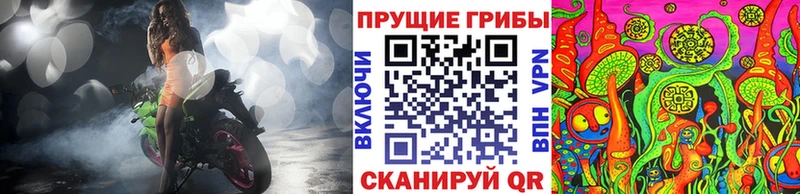 Галлюциногенные грибы Psilocybe  купить  сайты  Чехов 